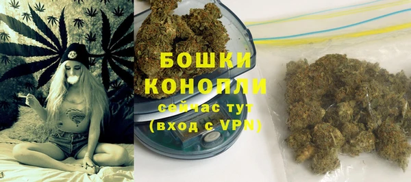 сатива Бугульма