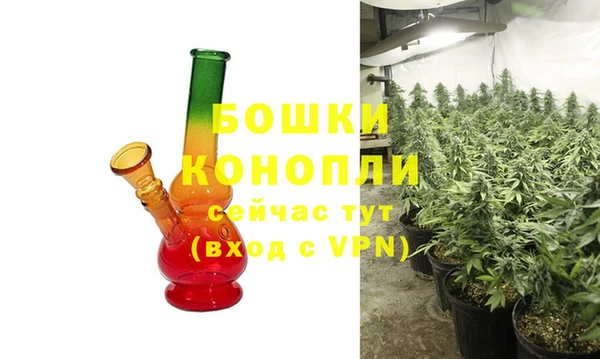 PSILOCYBIN Богданович